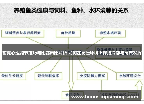 布克心理调节技巧与比赛策略解析 如何在高压环境下保持冷静与高效发挥