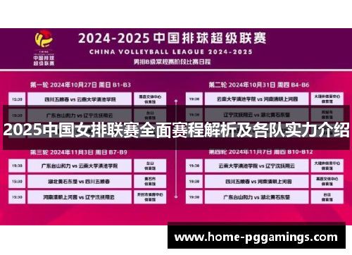 2025中国女排联赛全面赛程解析及各队实力介绍