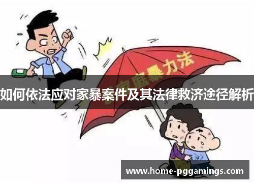 如何依法应对家暴案件及其法律救济途径解析