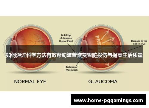 如何通过科学方法有效帮助波普恢复肾脏损伤与提高生活质量