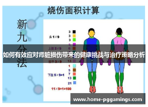 如何有效应对肾脏损伤带来的健康挑战与治疗策略分析