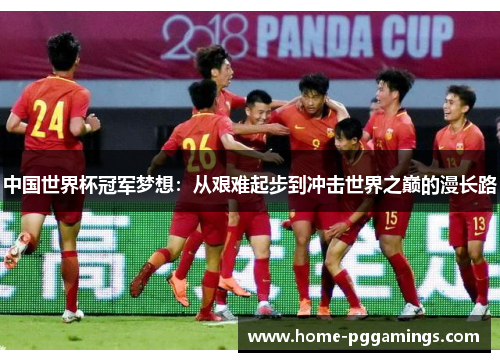 中国世界杯冠军梦想：从艰难起步到冲击世界之巅的漫长路