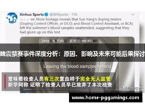 魏震禁赛事件深度分析：原因、影响及未来可能后果探讨